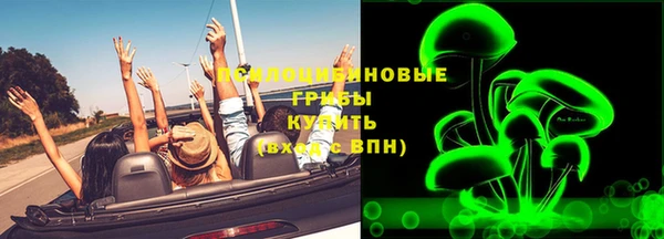не бодяженный Арсеньев