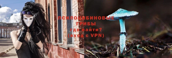не бодяженный Арсеньев