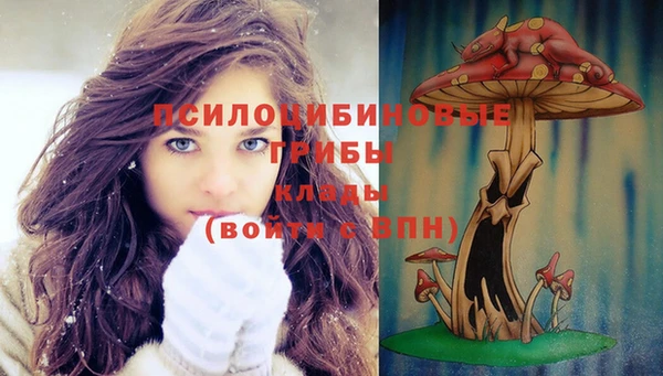 мет Балахна