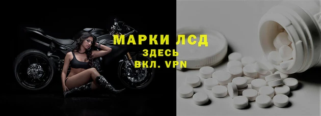 ешки Аркадак